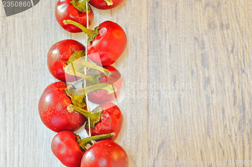 Image of Red chilli in a row, tied by rope