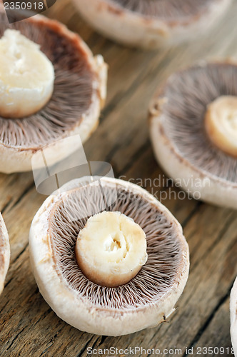 Image of brown mushrooms 