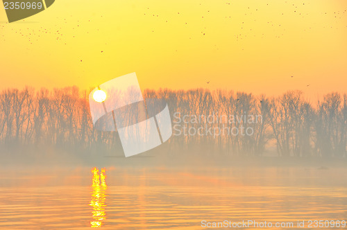 Image of Sunrise on Danube river