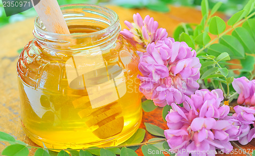 Image of glass jar full of honey and stick with acacia pink and white flo