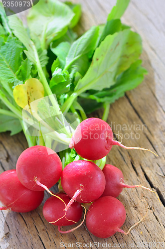 Image of Small garden radish isolated on old wooden background