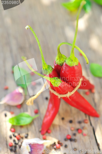 Image of Chili pepper and spices