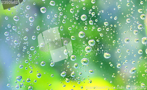 Image of Drops of rain on the glass 