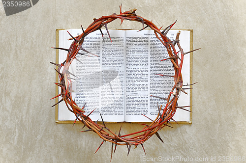 Image of crown of thorns on the Bible