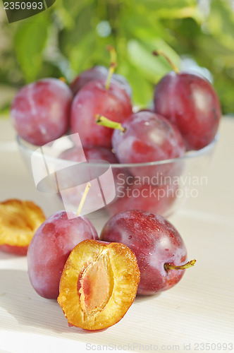 Image of Fresh plums