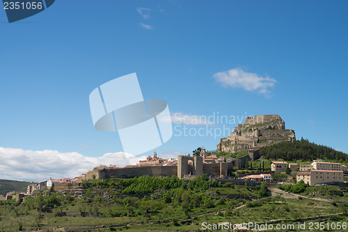 Image of Morella