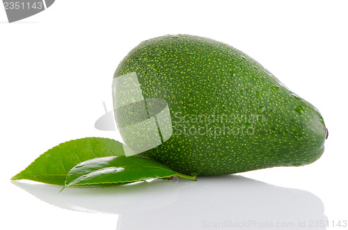 Image of Avocado isolated on white 