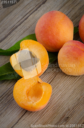 Image of Apricots with leaves