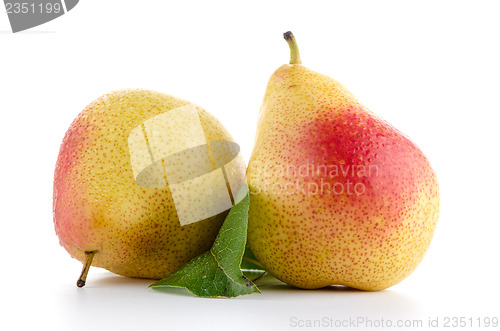 Image of Two ripe pears