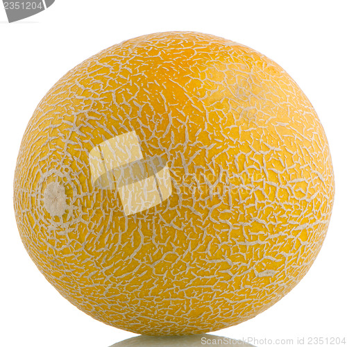 Image of Yellow melon 