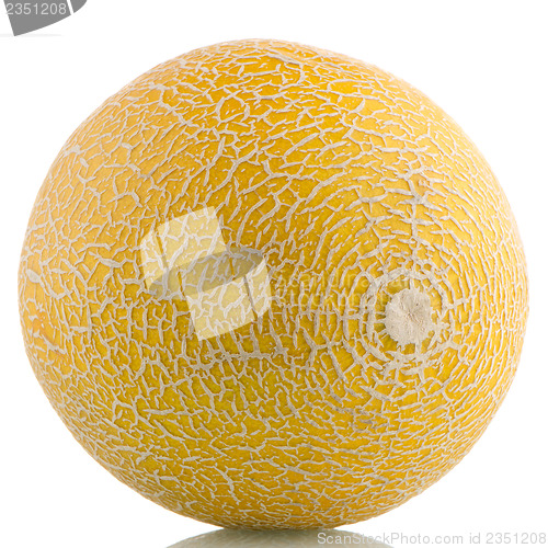 Image of Yellow melon 