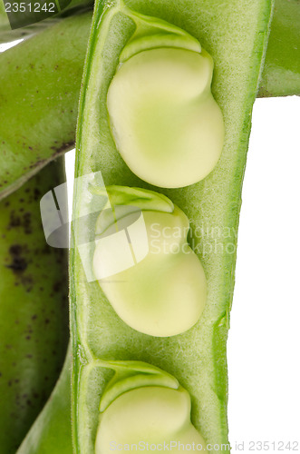 Image of Green beans