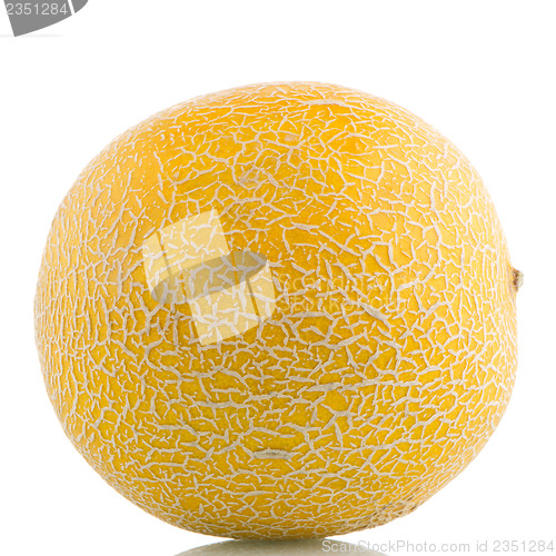 Image of Yellow melon 