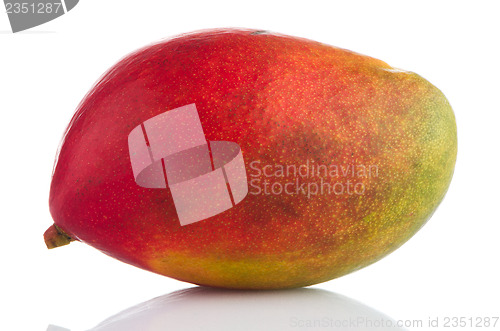 Image of Mango fruit