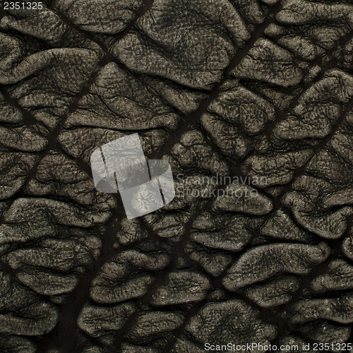 Image of Green leather