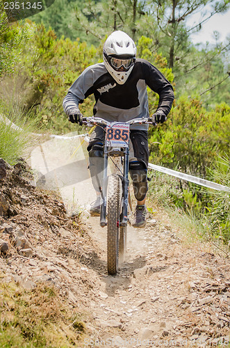 Image of Luis Jesus