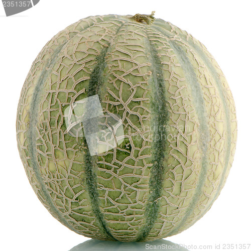 Image of Cantaloupe melon 