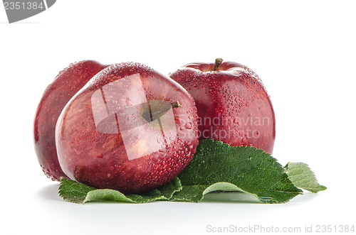 Image of Ripe red apples