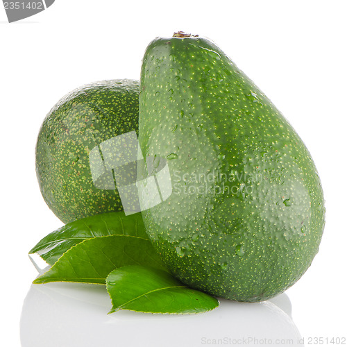 Image of Avocados on white 