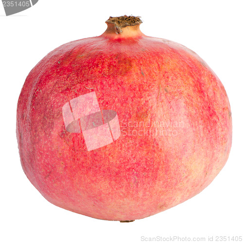 Image of Ripe pomegranate fruit