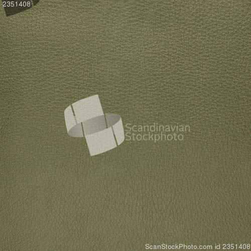 Image of Green leather texture closeup