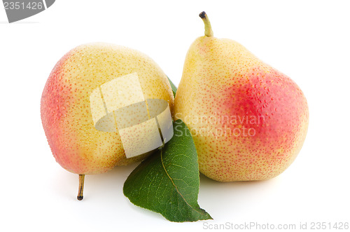 Image of Two ripe pears