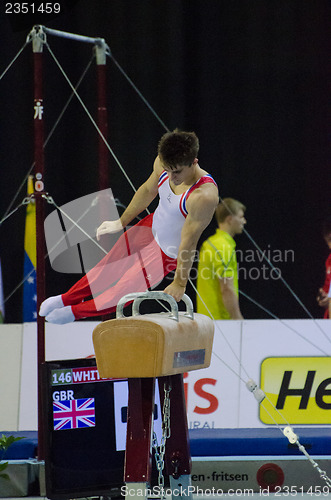 Image of Max Whitlock (GBR)