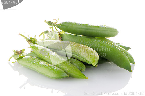 Image of Green beans