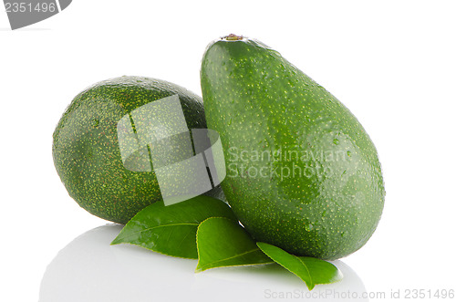 Image of Avocados on white 