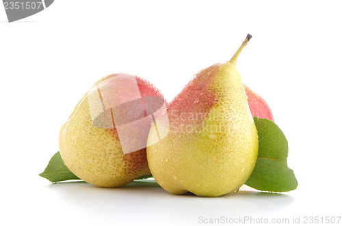 Image of Three ripe pears