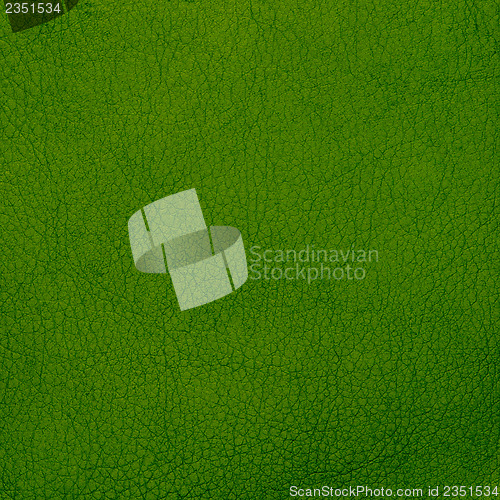 Image of Green leather texture closeup