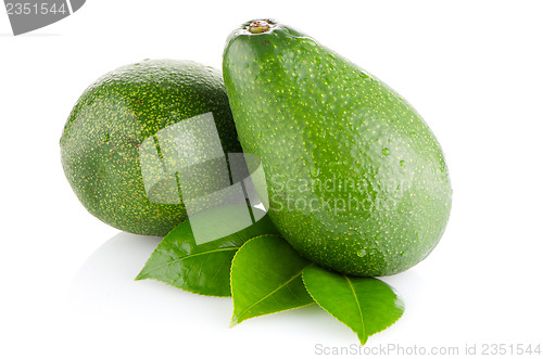 Image of Avocados on white 