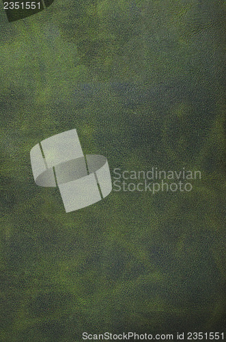 Image of Green leather texture closeup