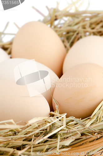 Image of Eggs closeup