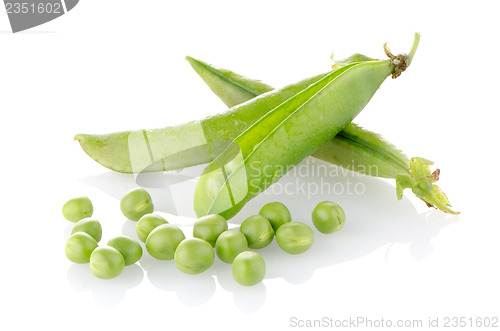 Image of Fresh green pea pod