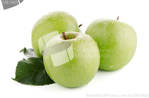 Image of Three fresh green apples