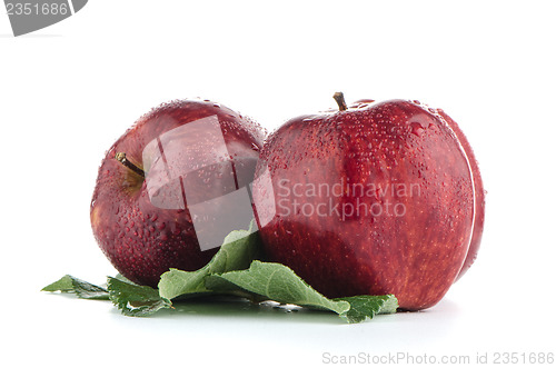 Image of Ripe red apples