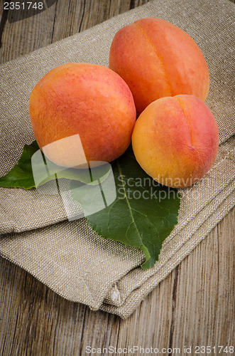 Image of Apricots with leaves