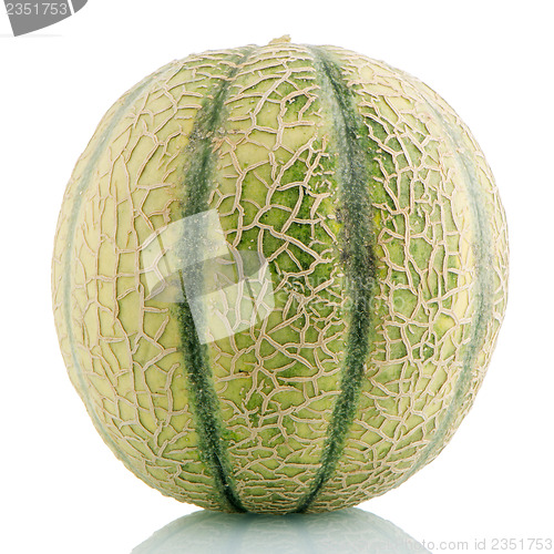 Image of Cantaloupe melon 