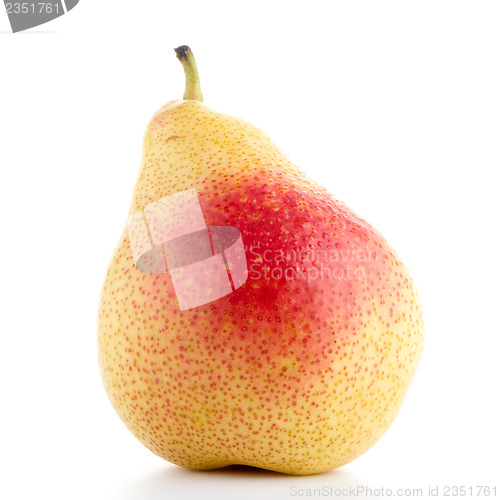 Image of Single ripe pear 