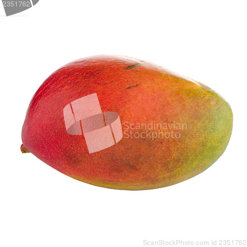 Image of Mango fruit