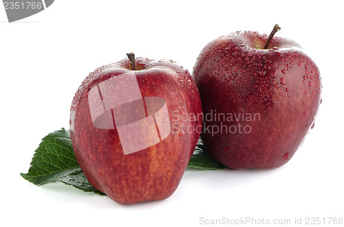 Image of Ripe red apples