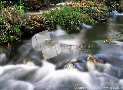 Image of Rapids