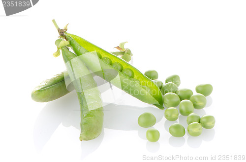 Image of Fresh green pea pod