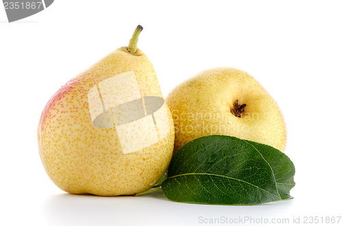 Image of Two ripe pears