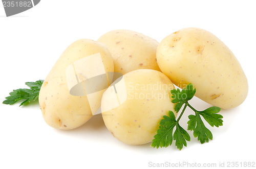 Image of New potatoes and green parsley