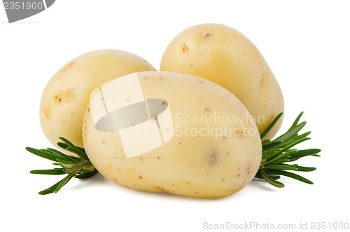 Image of New potatoes and green herbs