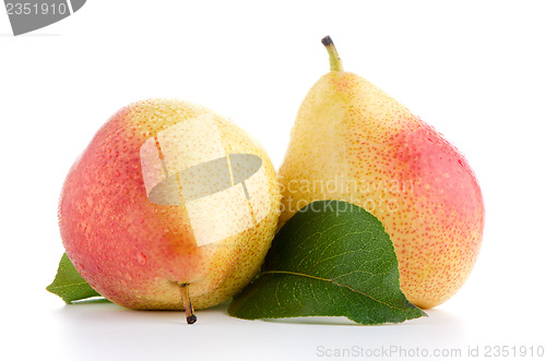Image of Two ripe pears