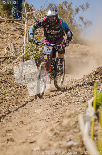 Image of Daniel Pombo