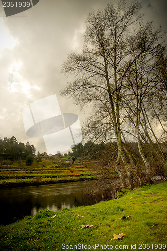 Image of River in early autumn